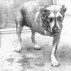 Alice In Chains: Alice In Chains